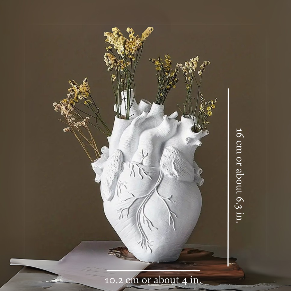 Anatomical Heart Vase from Moderny