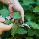 Gardening Shears & Pruners from Modern Sprout