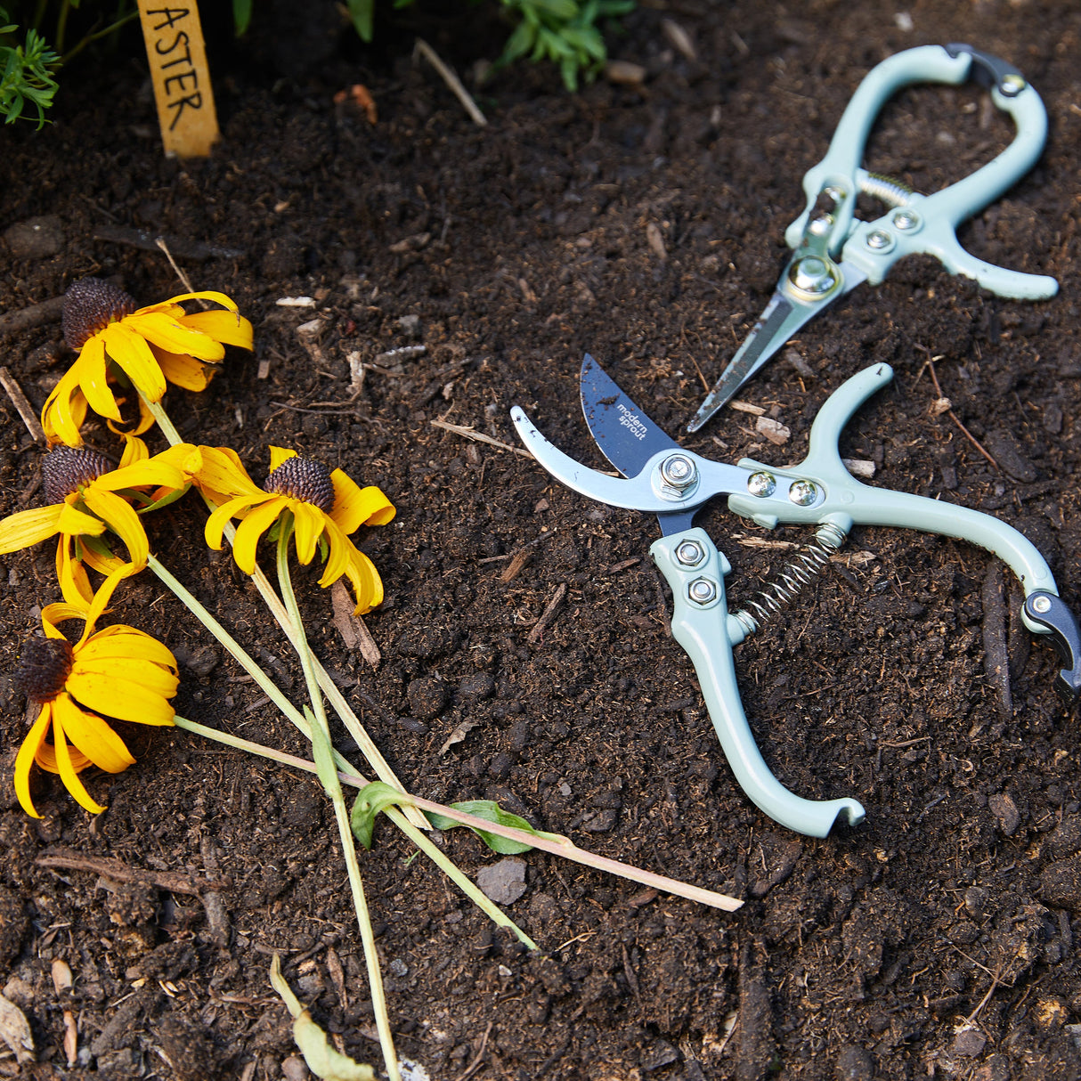 Gardening Shears & Pruners from Modern Sprout