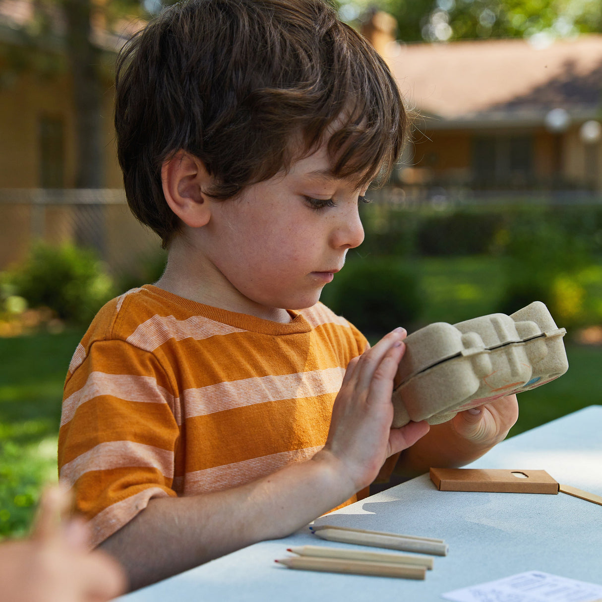 Curious Critters Garden Kits from Modern Sprout