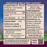 Motherwort from WishGarden Herbs