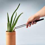 Precision Tweezers from Modern Sprout