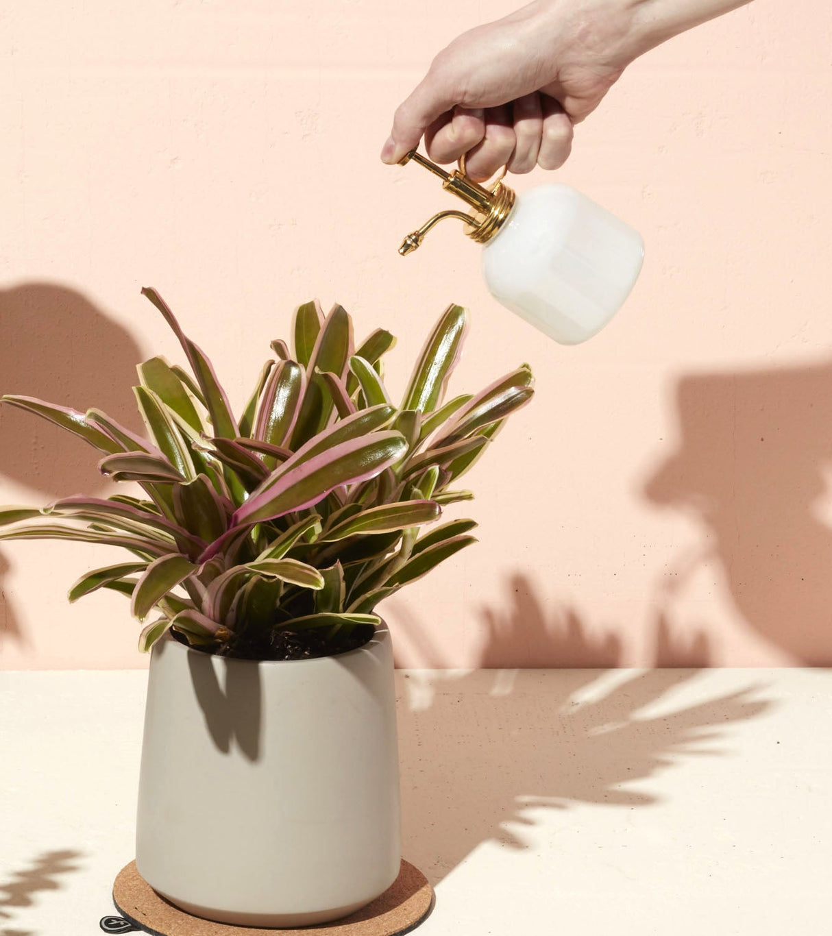 Misters from Modern Sprout