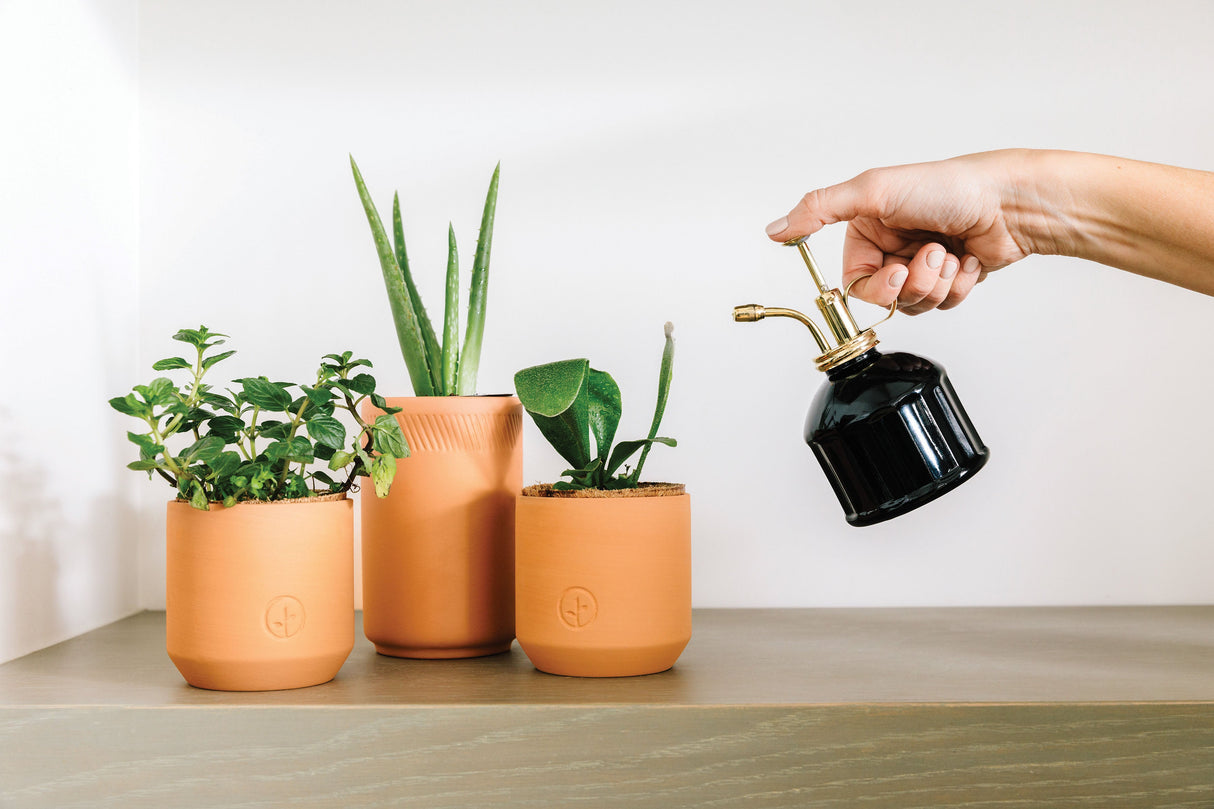 Misters from Modern Sprout
