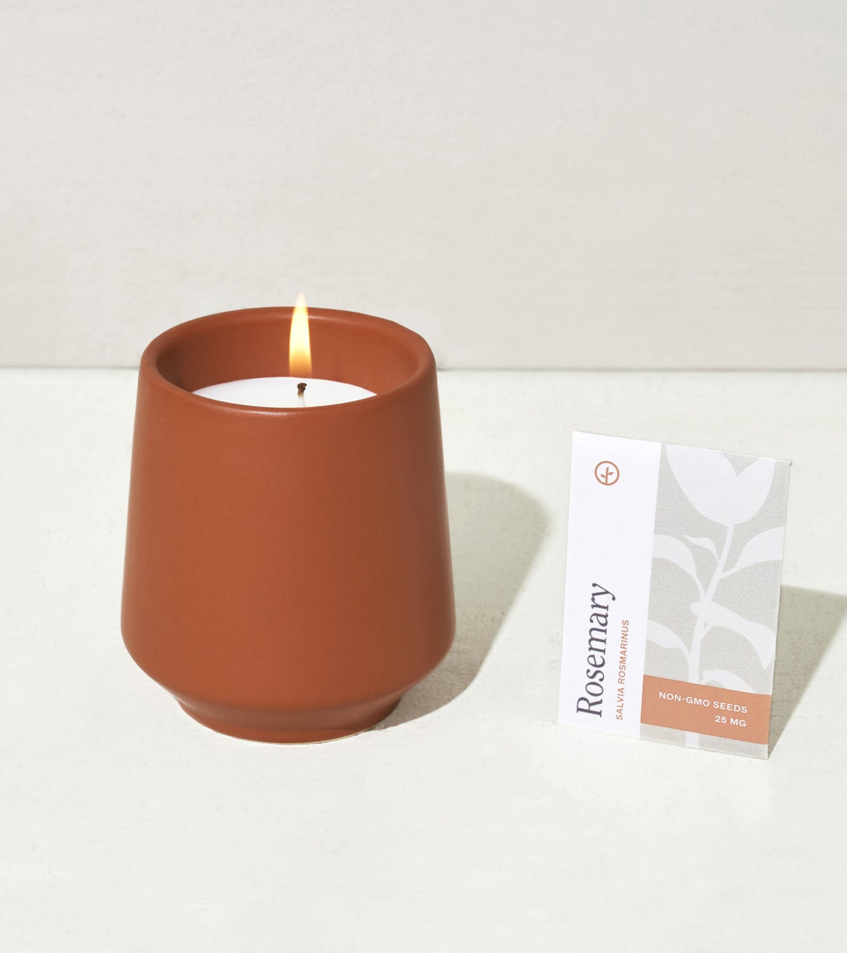Rooted Candles from Modern Sprout
