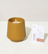 Rooted Candles from Modern Sprout