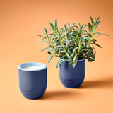 Garden Vibes Candle/Planter 2-in-1 from Modern Sprout