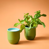 Garden Vibes Candle/Planter 2-in-1 from Modern Sprout