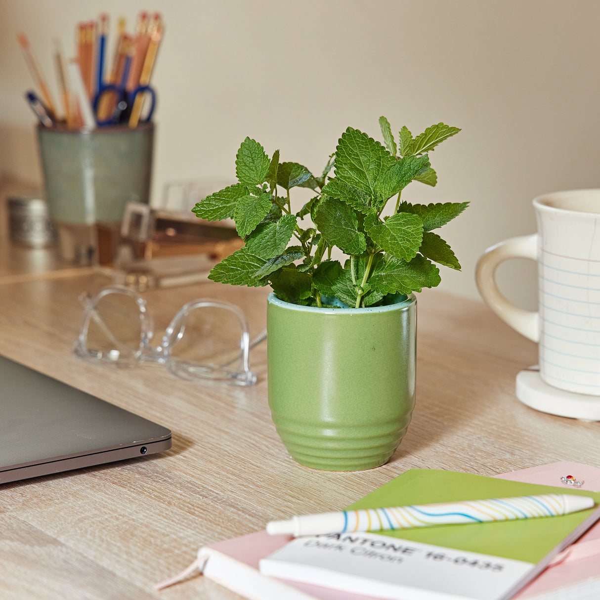 Garden Vibes Candle/Planter 2-in-1 from Modern Sprout
