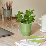 Garden Vibes Candle/Planter 2-in-1 from Modern Sprout