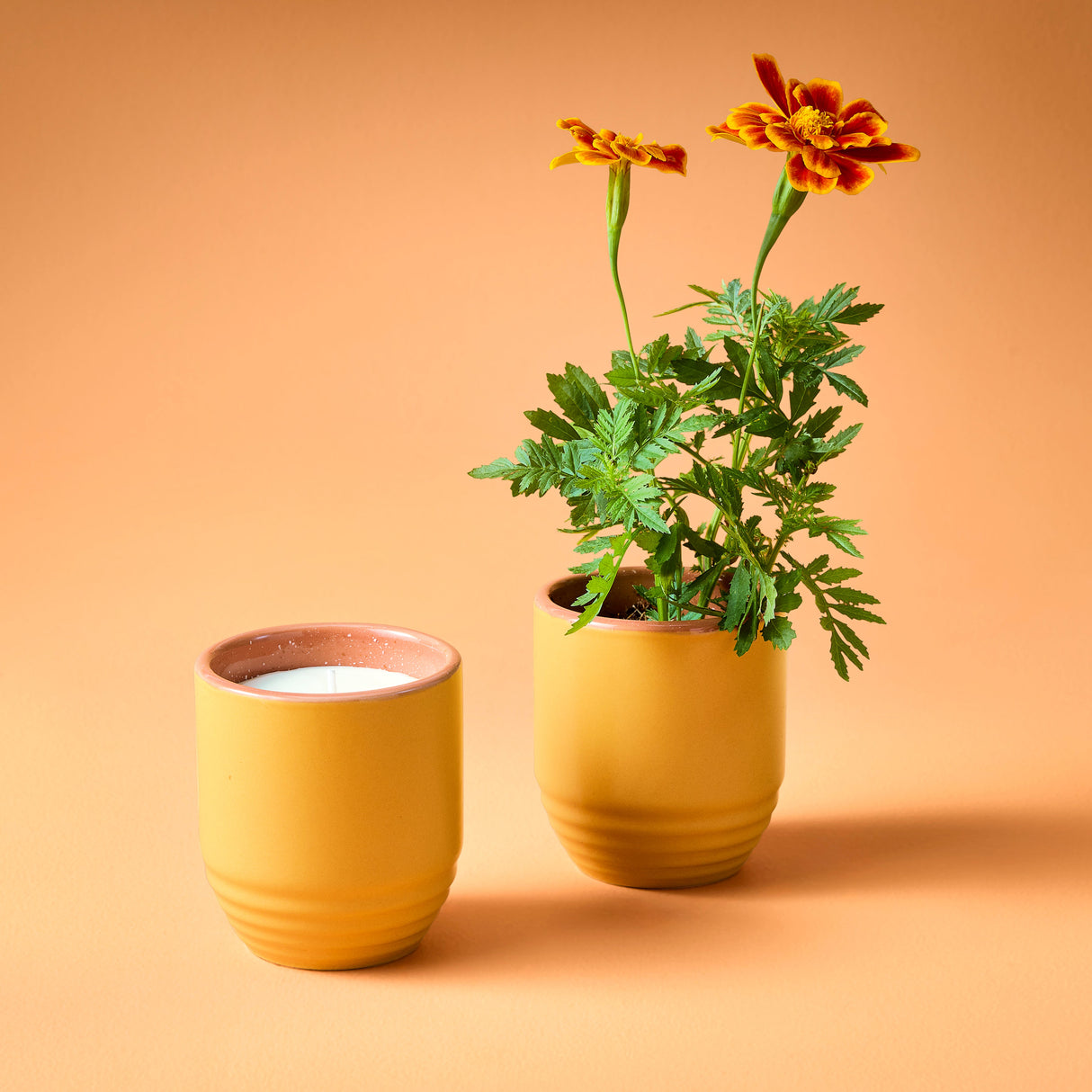Garden Vibes Candle/Planter 2-in-1 from Modern Sprout