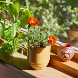 Garden Vibes Candle/Planter 2-in-1 from Modern Sprout