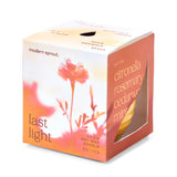 Garden Vibes Candle/Planter 2-in-1 from Modern Sprout