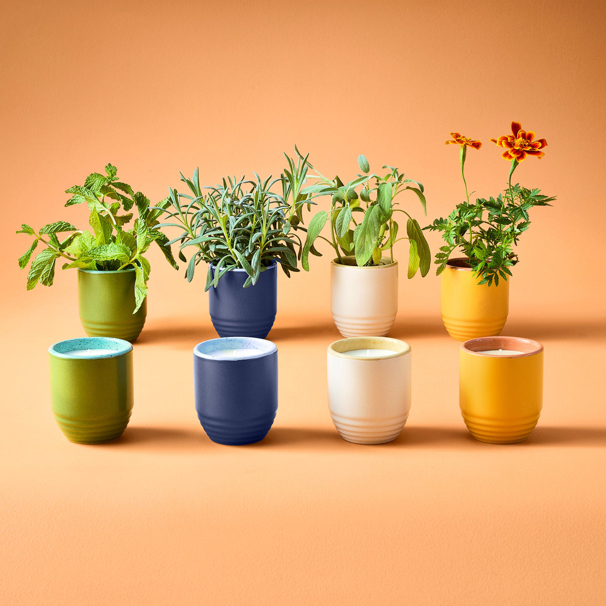 Garden Vibes Candle/Planter 2-in-1 from Modern Sprout