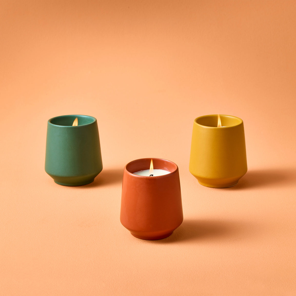 Rooted Candles from Modern Sprout