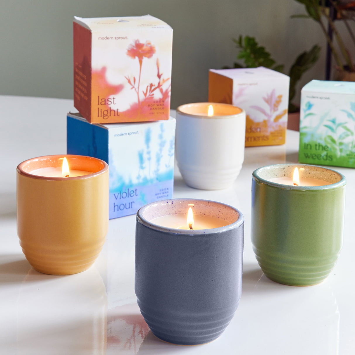 Garden Vibes Candle/Planter 2-in-1 from Modern Sprout