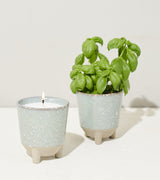 Glow & Grow Kits from Modern Sprout