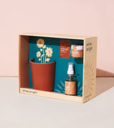 Shine Bright - Radiant Positivity Kit from Modern Sprout