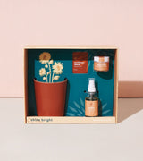 Shine Bright - Radiant Positivity Kit from Modern Sprout
