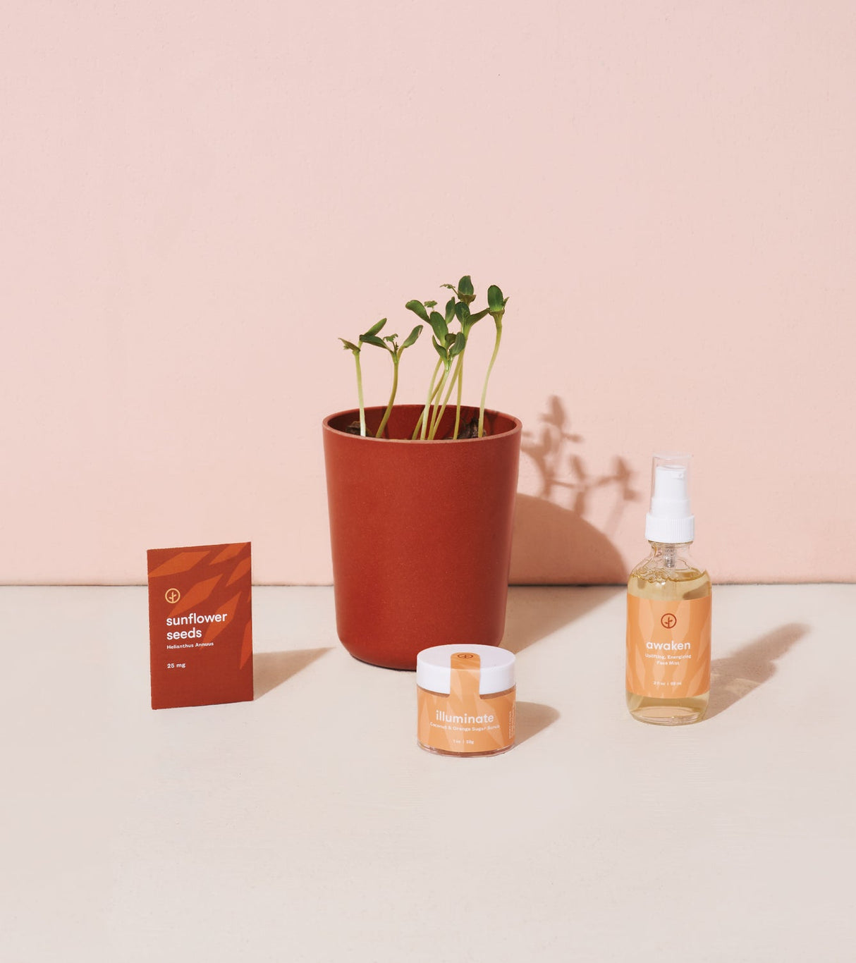 Shine Bright - Radiant Positivity Kit from Modern Sprout