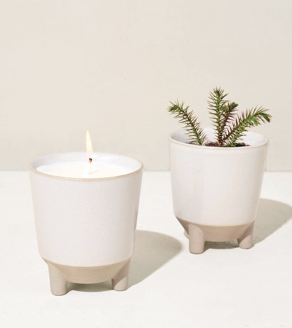 Glow & Grow Kits from Modern Sprout