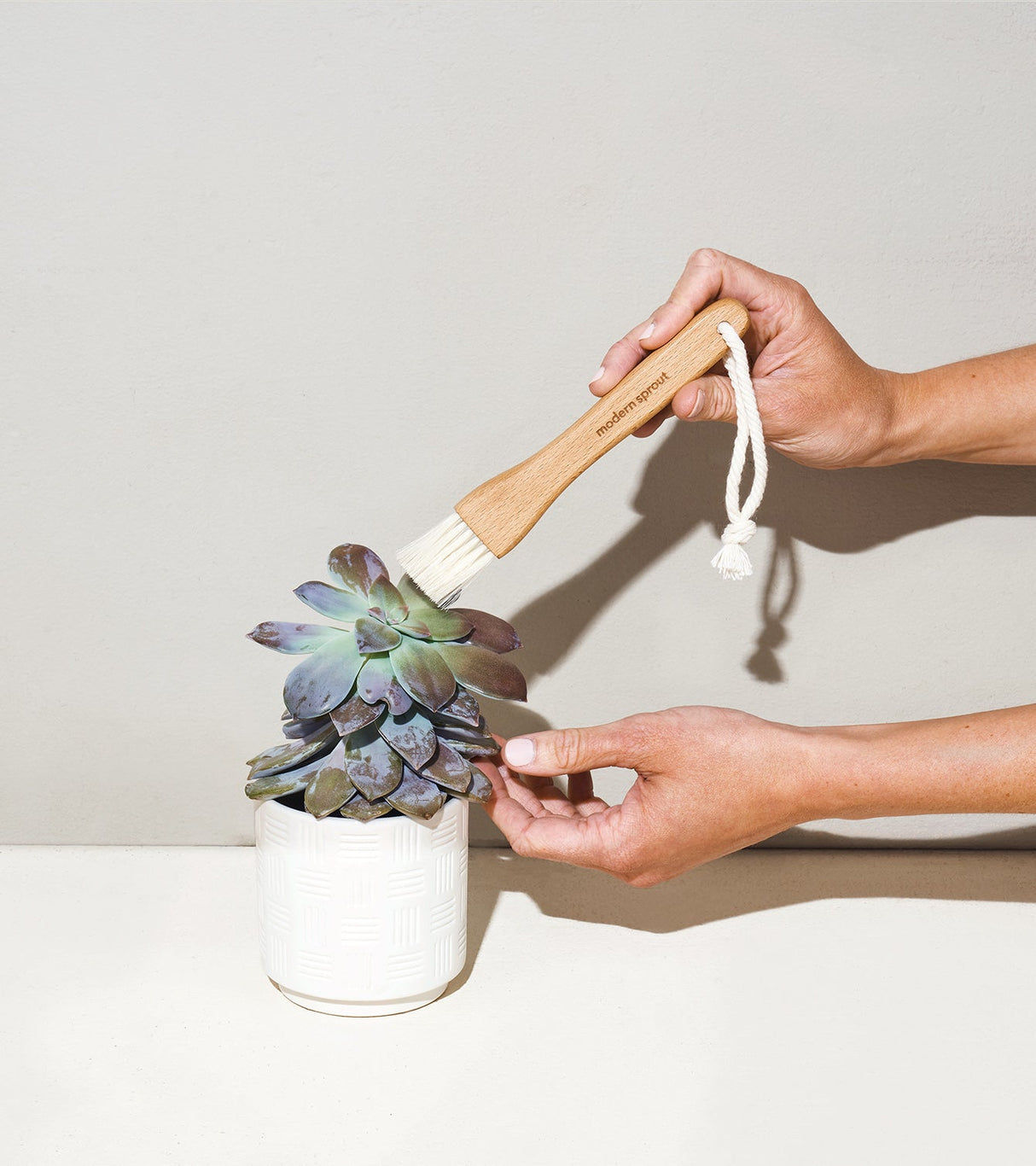 Plant Parent - Botanical Gift Box Set from Modern Sprout