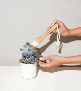 Plant Parent - Botanical Gift Box Set from Modern Sprout