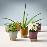 Glow & Grow Kits from Modern Sprout