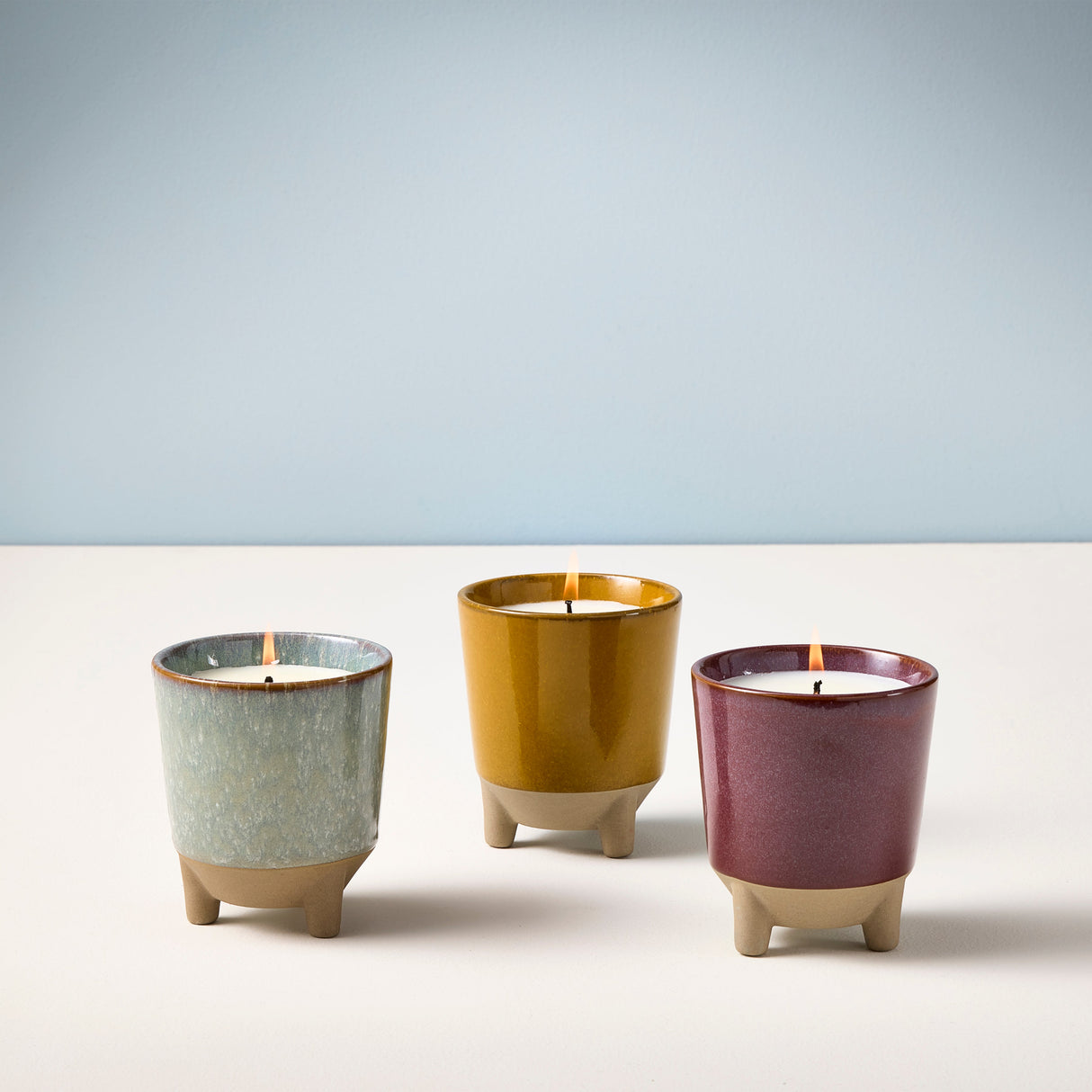 Glow & Grow Kits from Modern Sprout