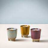 Glow & Grow Kits from Modern Sprout