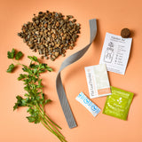 Grow Kit - Replant Kit from Modern Sprout
