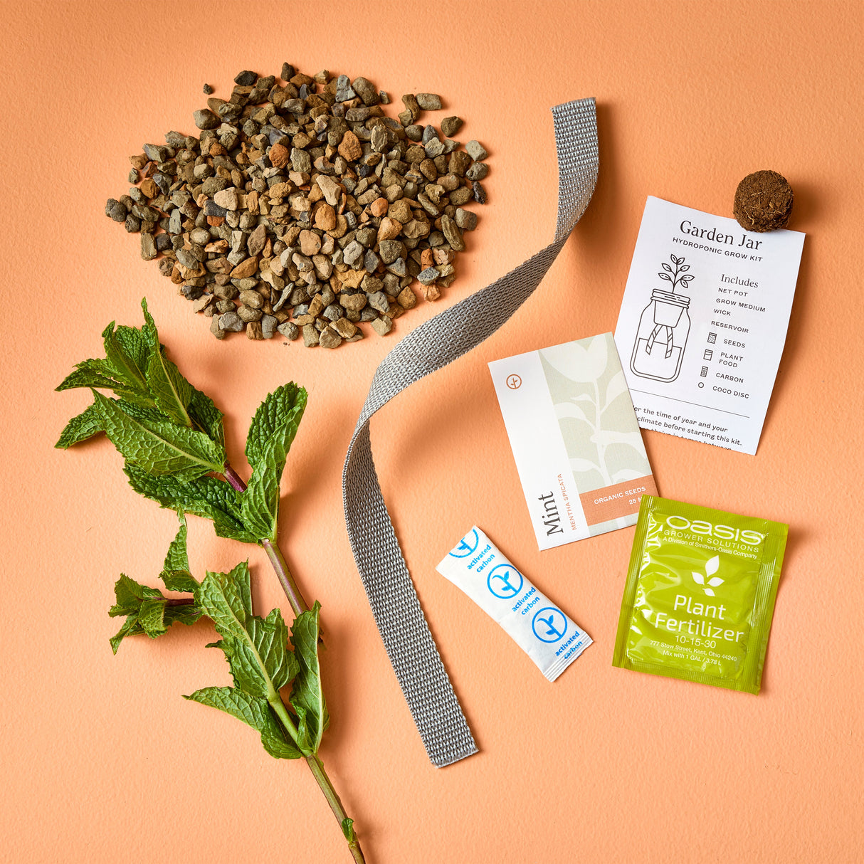 Grow Kit - Replant Kit from Modern Sprout