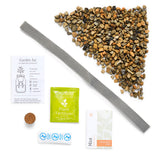 Grow Kit - Replant Kit from Modern Sprout
