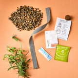 Grow Kit - Replant Kit from Modern Sprout