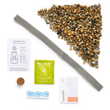 Grow Kit - Replant Kit from Modern Sprout