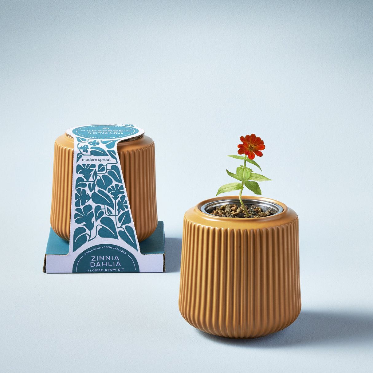 Flower Grow Kits from Modern Sprout