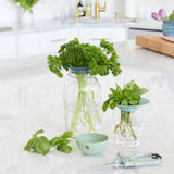 Produce Keepers, 2pk from Modern Sprout
