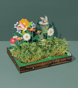 Microgreens Pop-Up Kit from Modern Sprout