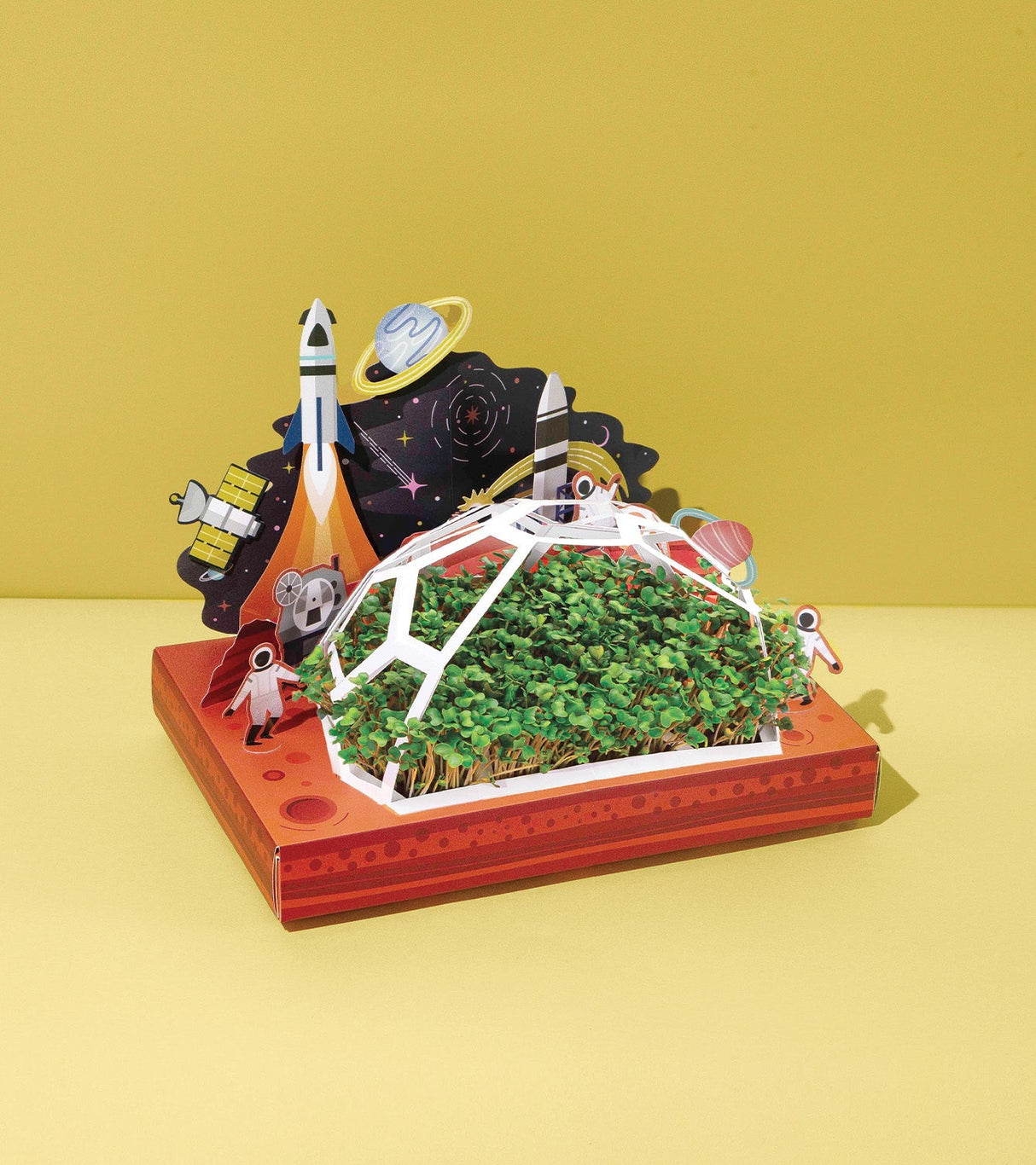 Microgreens Pop-Up Kit from Modern Sprout