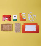 Microgreens Pop-Up Kit from Modern Sprout