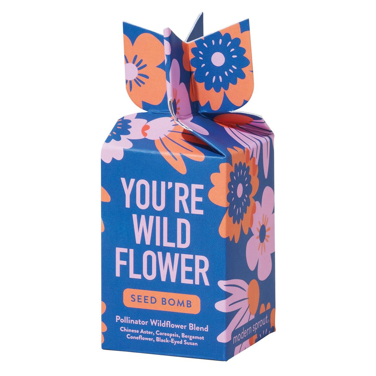 Seed Bomb from Modern Sprout