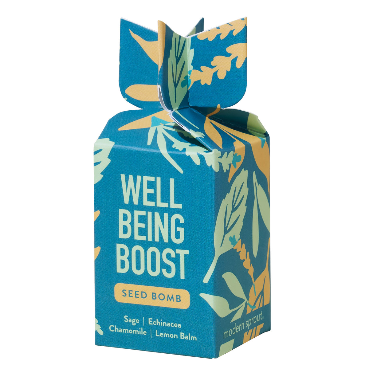 Seed Bomb from Modern Sprout