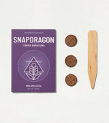 Cosmic Seed Kits from Modern Sprout