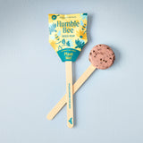 Seed Pops - Pollinator from Modern Sprout