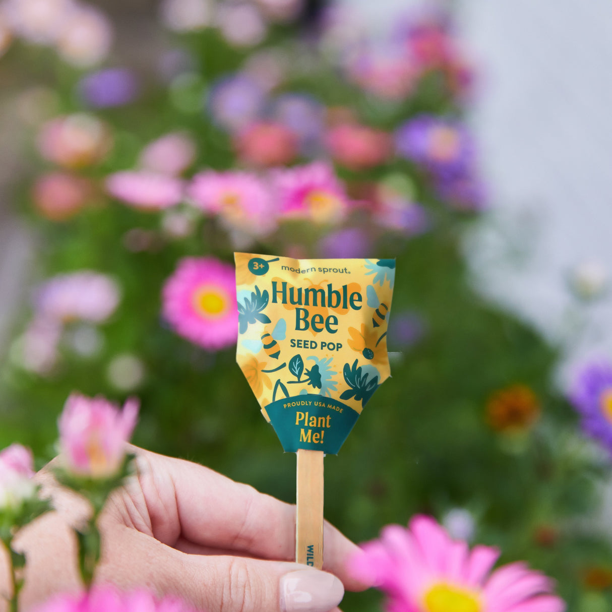 Seed Pops - Pollinator from Modern Sprout