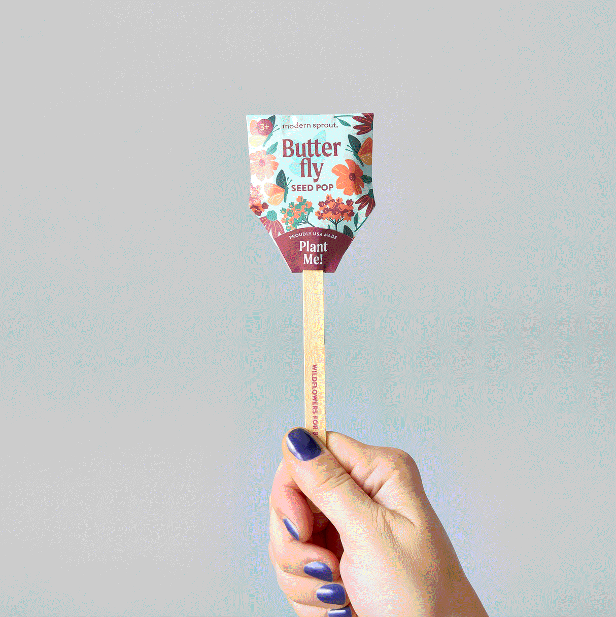 Seed Pops - Pollinator from Modern Sprout