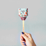 Seed Pops - Pollinator from Modern Sprout