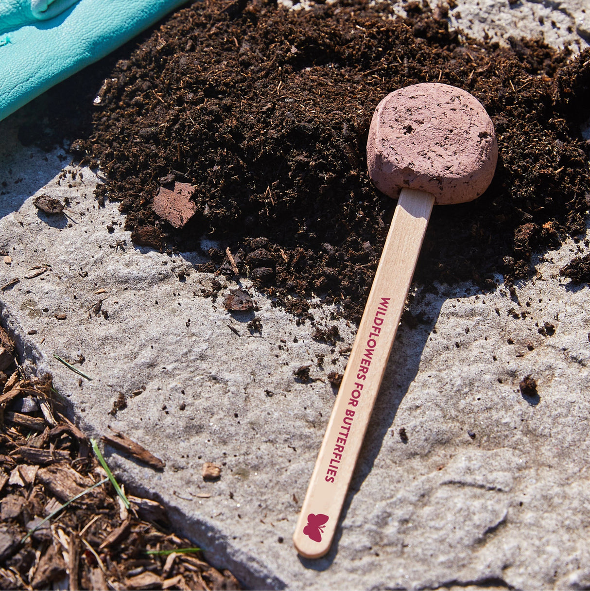 Seed Pops - Garden from Modern Sprout