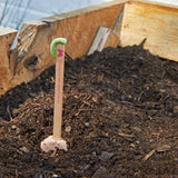 Seed Pops - Pollinator from Modern Sprout