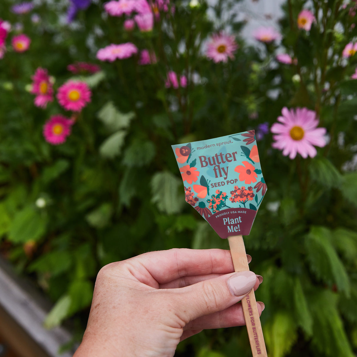 Seed Pops - Pollinator from Modern Sprout